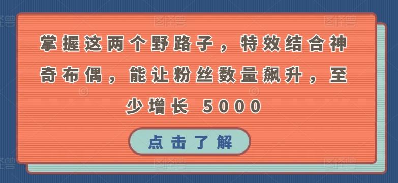 掌握这两个野路子，特效结合神奇布偶，能让粉丝数量飙升，至少增长 5000【揭秘】-小鹏项目网