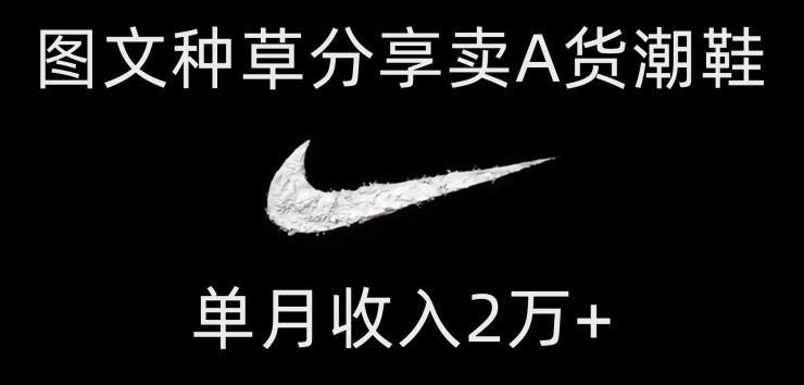 靠图文种草分享卖A货潮鞋，每天一小时，单月收入2万+【揭秘】-小鹏项目网