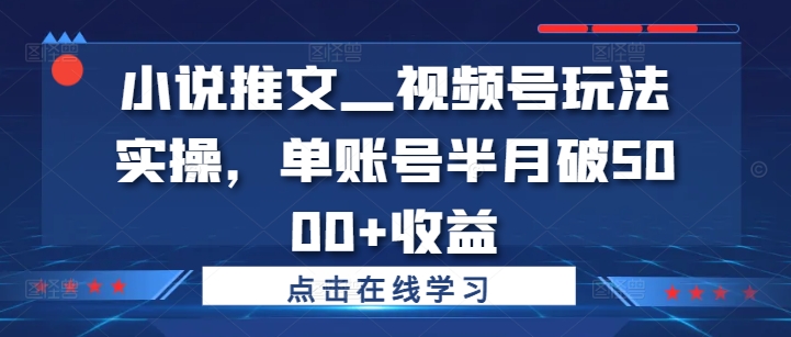 小说推文—视频号玩法实操，单账号半月破5000+收益-小鹏项目网