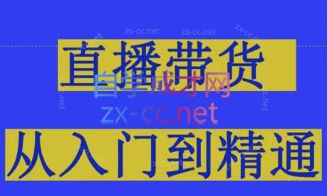 东哥·2024抖音直播带货直播间拆解-小鹏项目网