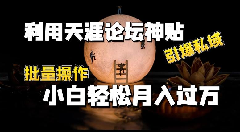 利用天涯论坛神贴，引爆私域，批量操作，小白轻松月入过w【揭秘】-小鹏项目网