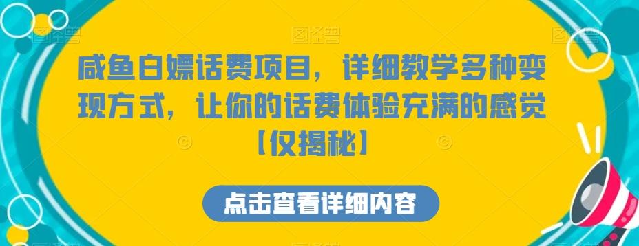 咸鱼白嫖话费项目，详细教学多种变现方式，让你的话费体验充满的感觉【仅揭秘】-小鹏项目网