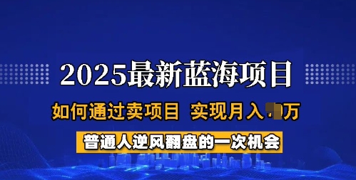 2025蓝海项目，普通人如何通过卖项目，实现月入过W，全过程【揭秘】-小鹏项目网