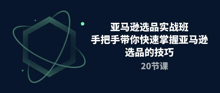 亚马逊选品实战班，手把手带你快速掌握亚马逊选品的技巧(20节课-小鹏项目网