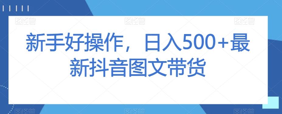新手好操作，日入500+最新抖音图文带货【揭秘】-小鹏项目网