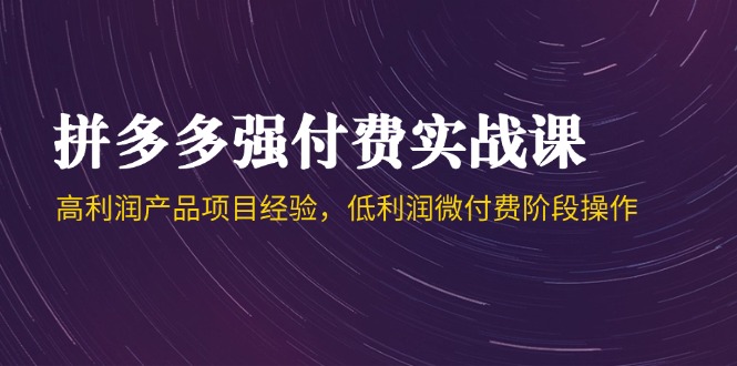 拼多多强付费实战课-44期，高利润产品项目经验，低利润微付费阶段操作-小鹏项目网