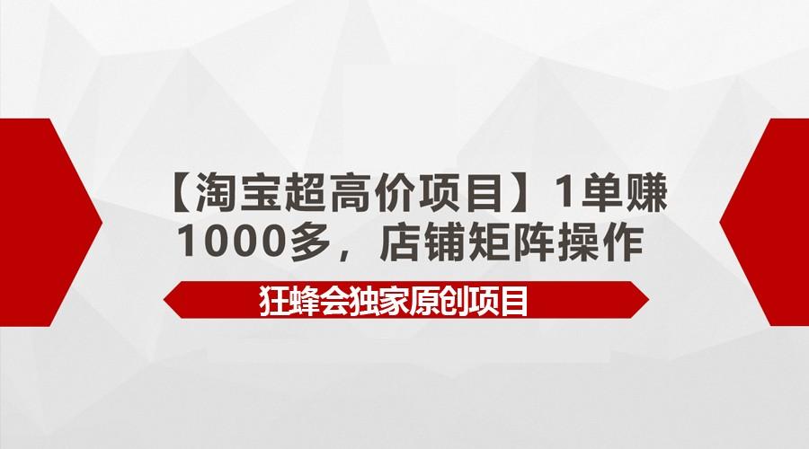 【淘宝超高价项目】1单赚1000多，店铺矩阵操作-小鹏项目网