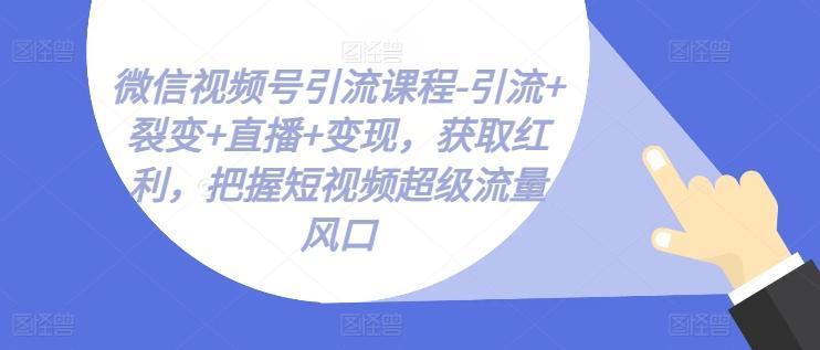 微信视频号引流课程-引流+裂变+直播+变现，获取红利，把握短视频超级流量风口-小鹏项目网