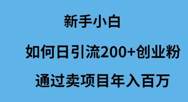(9668期)新手小白如何日引流200+创业粉通过卖项目年入百万-小鹏项目网