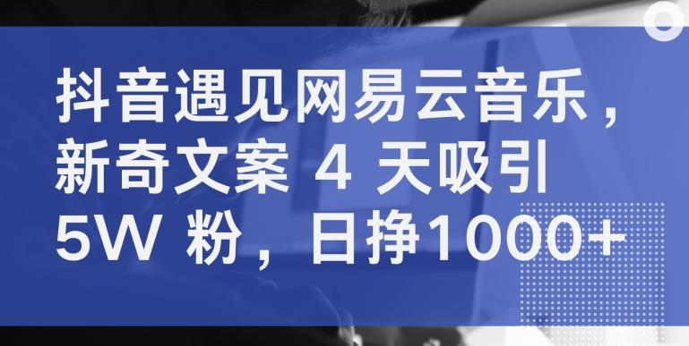 抖音遇见网易云音乐，新奇文案 4 天吸引 5W 粉，日挣1000+【揭秘】-小鹏项目网