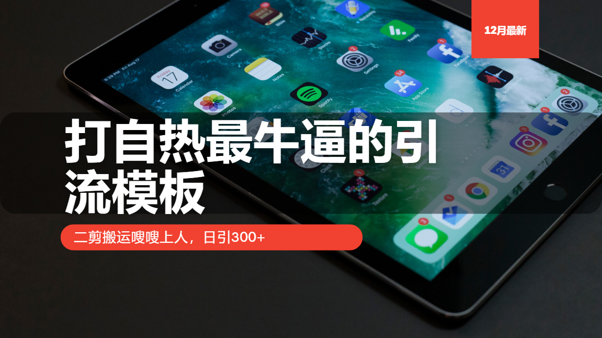打自热最牛逼的引流模板，二剪搬运嗖嗖上人，日引300+-小鹏项目网