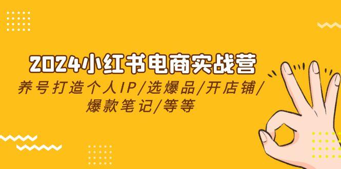2024小红书电商实战营，养号打造IP/选爆品/开店铺/爆款笔记/等等(24节)-小鹏项目网