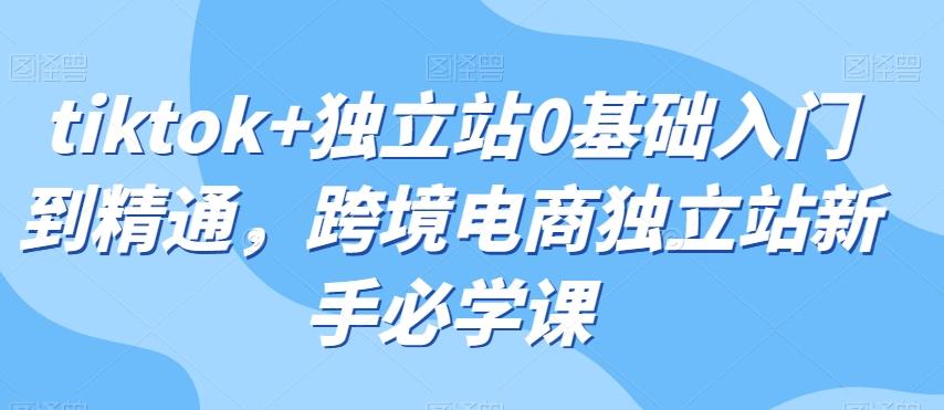 tiktok+独立站0基础入门到精通，跨境电商独立站新手必学课-小鹏项目网