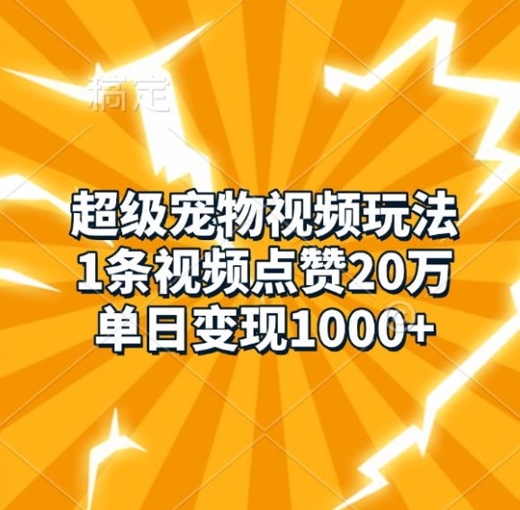 超级宠物视频玩法，1条视频点赞20万，单日变现1k-小鹏项目网