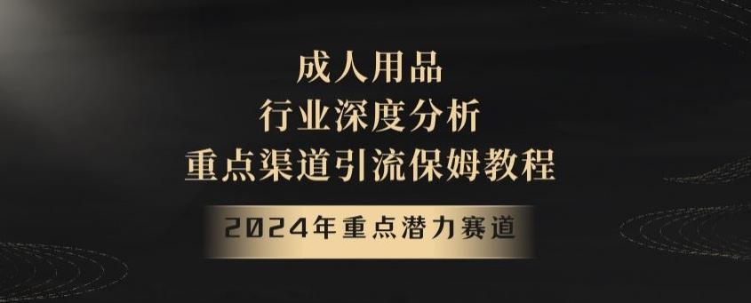 2024年重点潜力赛道，成人用品行业深度分析，重点渠道引流保姆教程【揭秘】-小鹏项目网