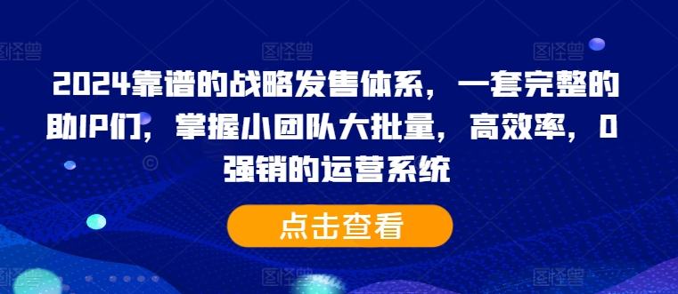 2024靠谱的战略发售体系，一套完整的助IP们，掌握小团队大批量，高效率，0 强销的运营系统-小鹏项目网