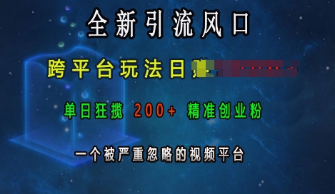 全新引流风口，跨平台玩法日入上k，单日狂揽200+精准创业粉，一个被严重忽略的视频平台-小鹏项目网