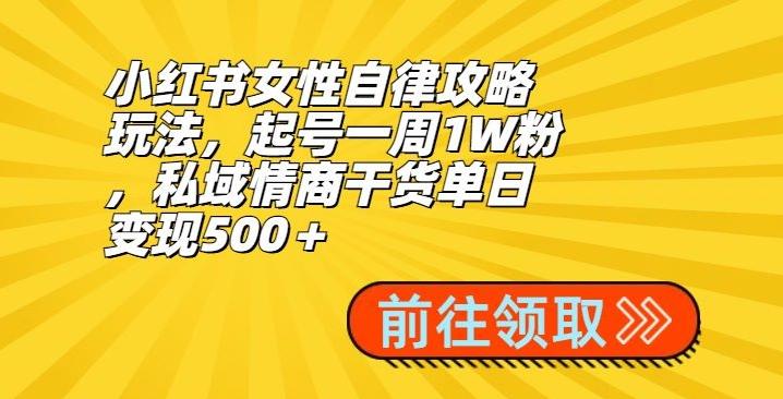 小红书女性自律攻略玩法，起号一周1W粉，私域情商干货单日变现500＋-小鹏项目网