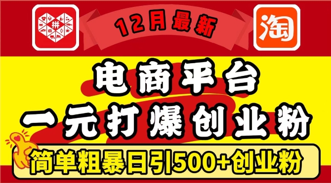 12月最新：电商平台1元打爆创业粉，简单粗暴日引500+精准创业粉，轻松月入过W【揭秘】-小鹏项目网