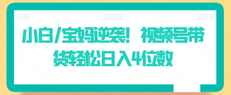 小白/宝妈逆袭！视频号带货轻松日入4位数【揭秘】-小鹏项目网