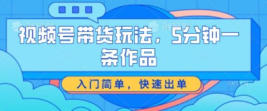 视频号带货玩法，5分钟一条作品，入门简单，快速出单【揭秘】-小鹏项目网