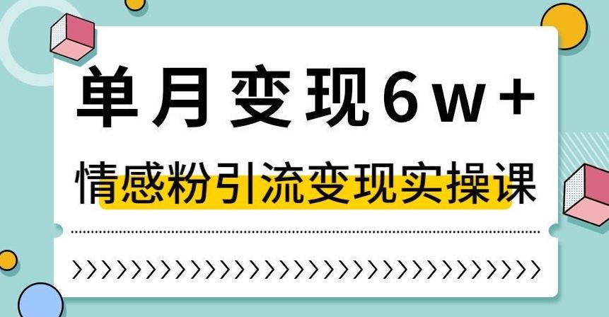 单月变现6W+，抖音情感粉引流变现实操课，小白可做，轻松上手，独家赛道【揭秘】-小鹏项目网