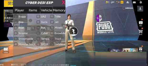PUBG轻量老外裸奔绘制+自瞄 支持ROOT和框架 里面有全局离线-小鹏项目网