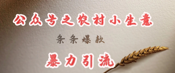 deepseek写农村小项目，条条爆款，暴力引流-小鹏项目网