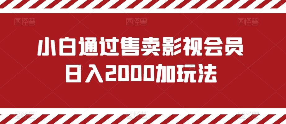 小白通过售卖影视会员日入2000加玩法-小鹏项目网