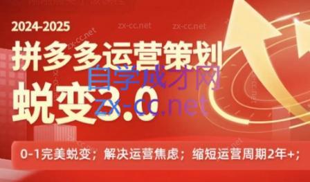 大力老师·2024拼多多运营策略蜕变3.0-小鹏项目网