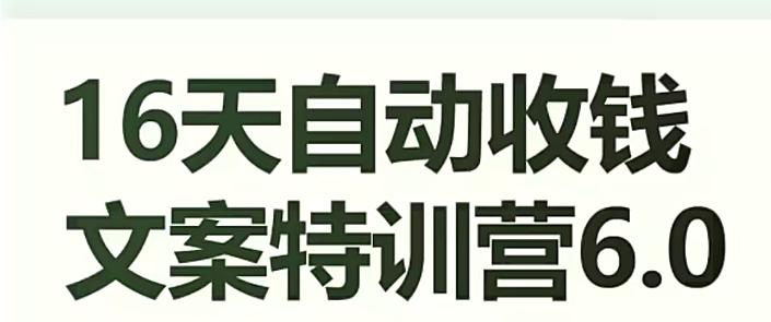 16天自动收钱文案特训营6.0，学会儿每天自动咔咔收钱-小鹏项目网