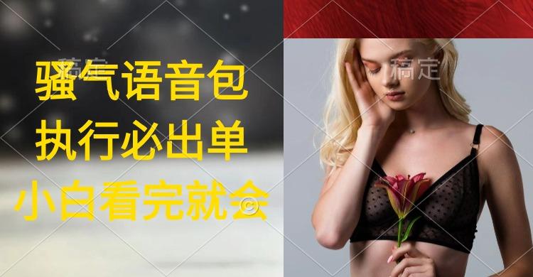 (9589期)执行就出单，日入2000+，超火骚气语音包，小白看完课程就能马上实操-小鹏项目网