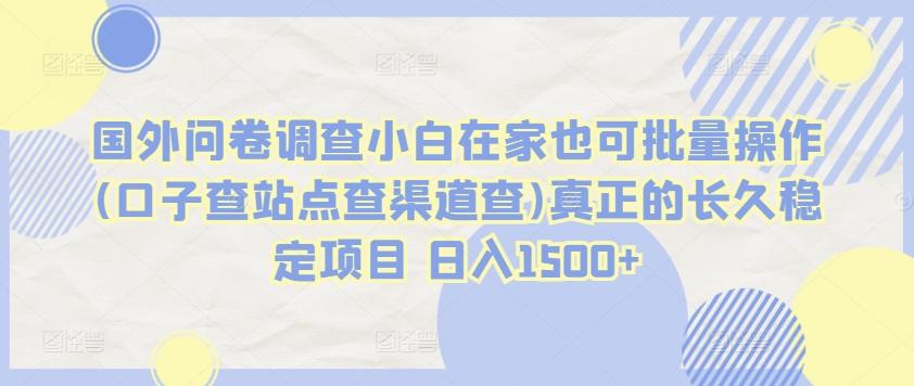国外问卷调查小白在家也可批量操作(口子查站点查渠道查)真正的长久稳定项目 日入1500+【揭秘】-小鹏项目网