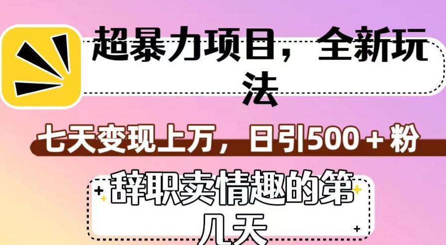 超暴利项目，全新玩法（辞职卖情趣的第几天），七天变现上万，日引500+粉【揭秘】-小鹏项目网