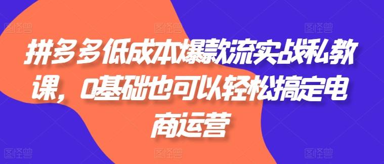 拼多多低成本爆款流实战私教课，0基础也可以轻松搞定电商运营-小鹏项目网