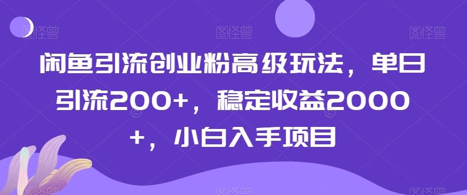 闲鱼引流创业粉高级玩法，单日引流200+，稳定收益2000+，小白入手项目-小鹏项目网
