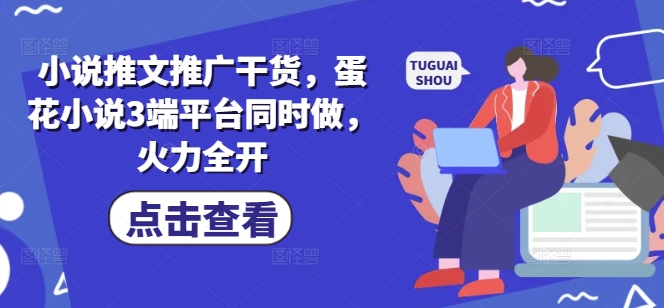 小说推文推广干货，蛋花小说3端平台同时做，火力全开-小鹏项目网