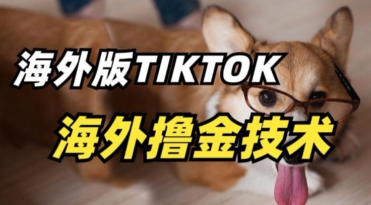 抖音海外版tiktok撸金技术，这个风口行业，赚钱真的不难【揭秘】-小鹏项目网