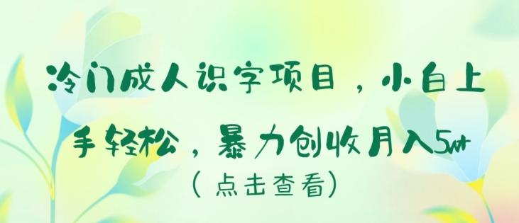 冷门成人识字项目，小白上手轻松，暴力创收月入5w+【揭秘】-小鹏项目网