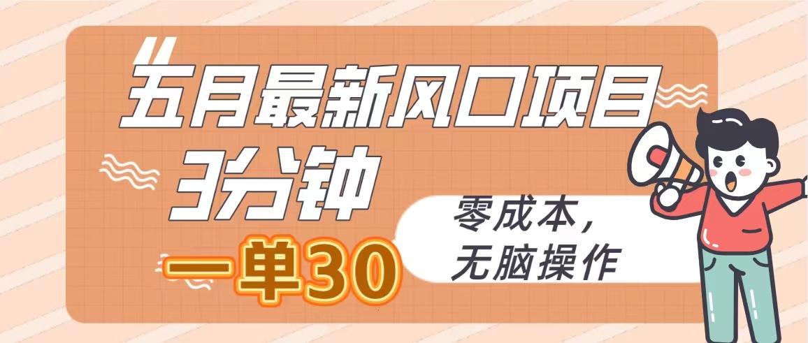 五月最新风口项目，3分钟一单30，零成本，无脑操作-小鹏项目网