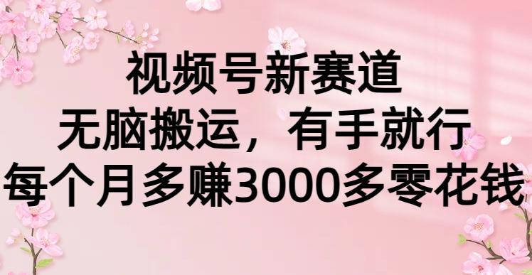 (9278期)视频号新赛道，无脑搬运，有手就行，每个月多赚3000多零花钱-小鹏项目网