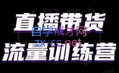 婉婉·直播带货课程系列合集(更新8月)-小鹏项目网