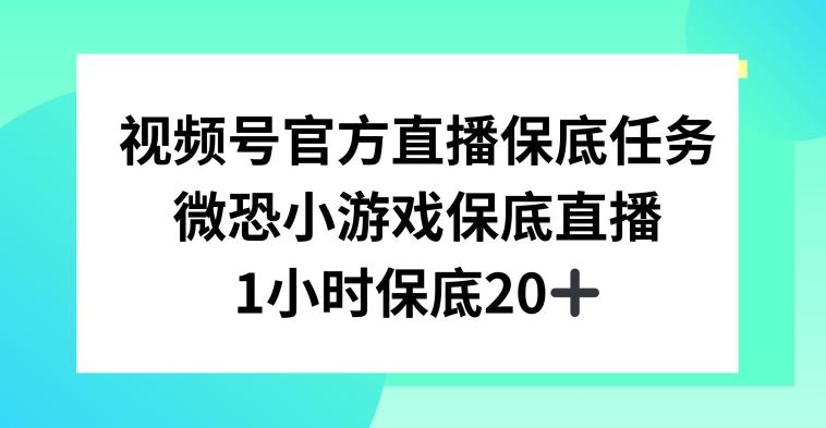 视频号直播任务，微恐小游戏，1小时20+【揭秘】-小鹏项目网