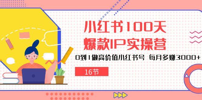 小红书100天-爆款IP实操营，0到1做高价值小红书号 每月多赚3000+(16节-小鹏项目网