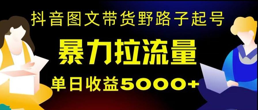 抖音图文带货暴力起号，单日收益5000+，野路子玩法，简单易上手，一部手机即可【揭秘】-小鹏项目网