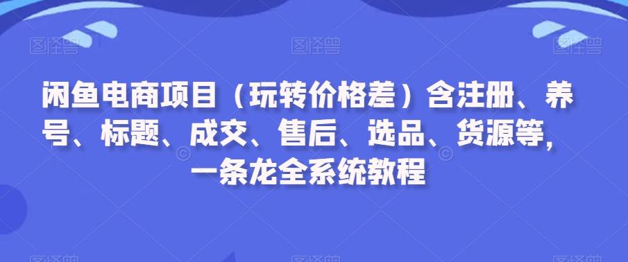 闲鱼电商项目(玩转价格差)含注册、养号、标题、成交、售后、选品、货源等，一条龙全系统教程-小鹏项目网