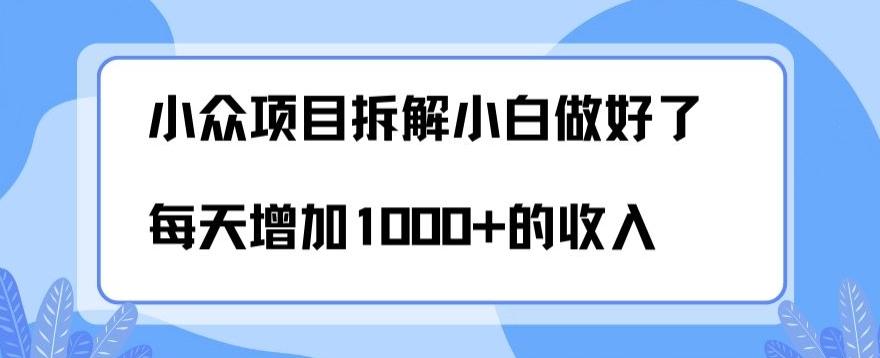 小众项目拆解，小白做好了每天可增加1000多的收入-小鹏项目网