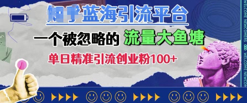 豆瓣蓝海引流平台，一个被忽略的流量大鱼塘，单日精准引流创业粉100+-小鹏项目网
