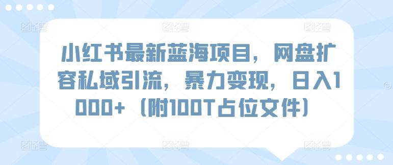 小红书最新蓝海项目，网盘扩容私域引流，暴力变现，日入1000+(附100T占位文件)【揭秘】-小鹏项目网