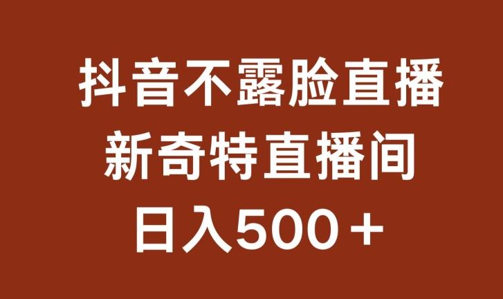 不露脸挂机直播，新奇特直播间，日入500+【揭秘】-小鹏项目网